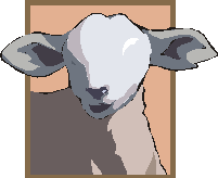 Das weinende Schaf